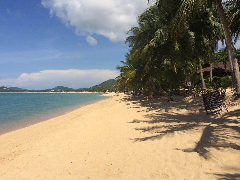 Samui Paca Place Mae Nam Beach Eksteriør billede